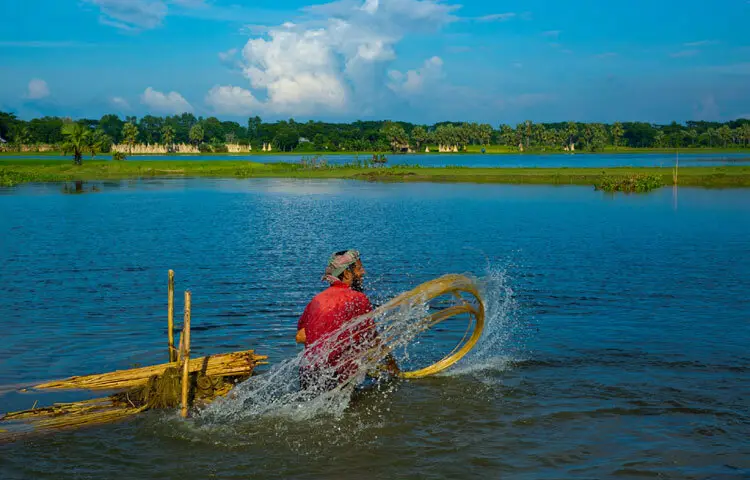 সোনালী আঁশে কৃষকের হাসি।